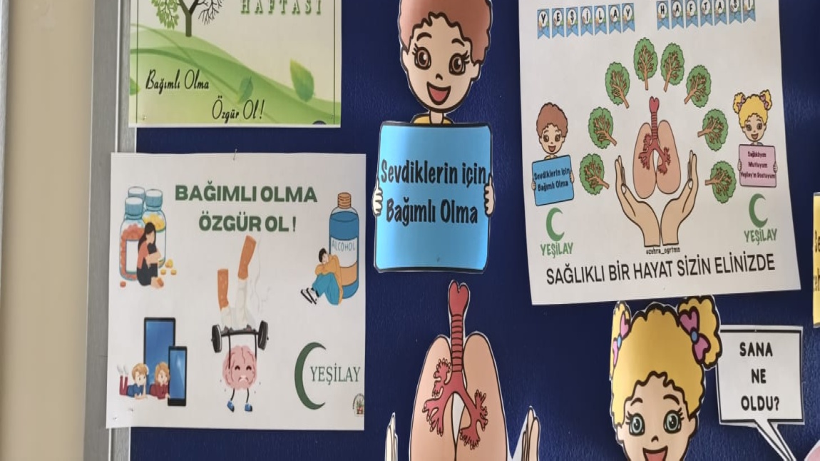 Yeşil Ay Haftası Bilinçlendirme Panosu